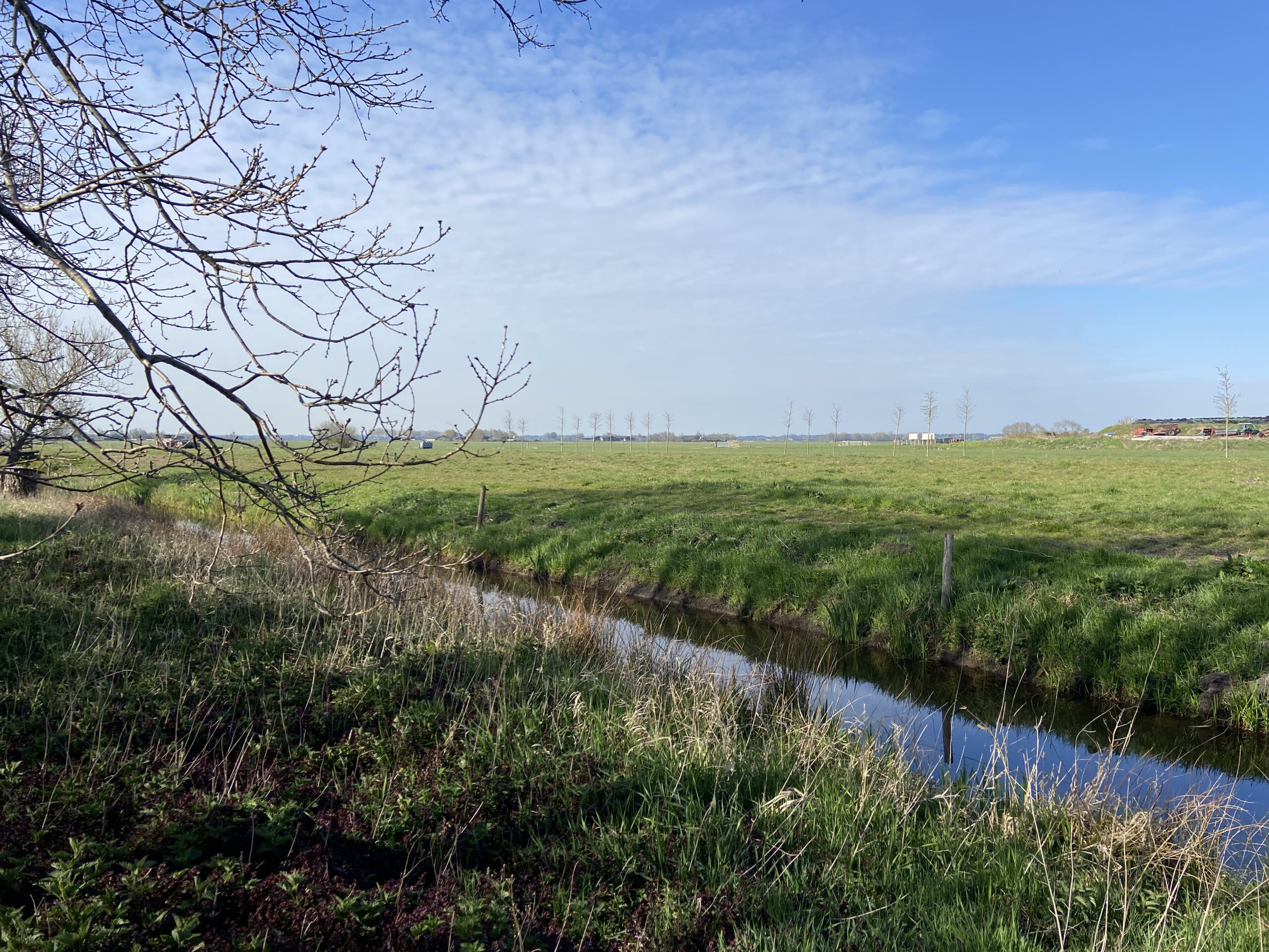 uitzicht in een pipowagen slapen