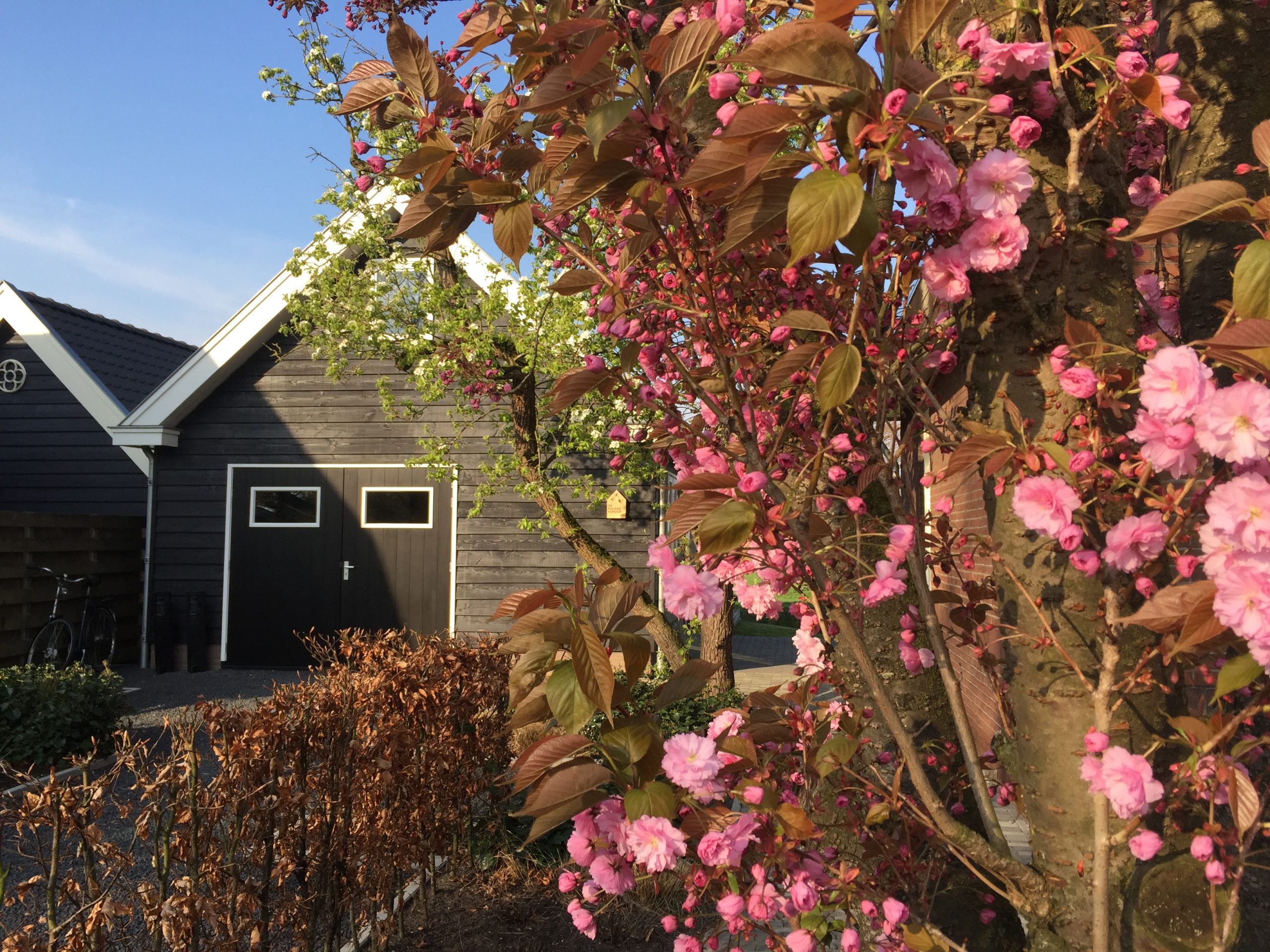 groene hart overnachten tuin