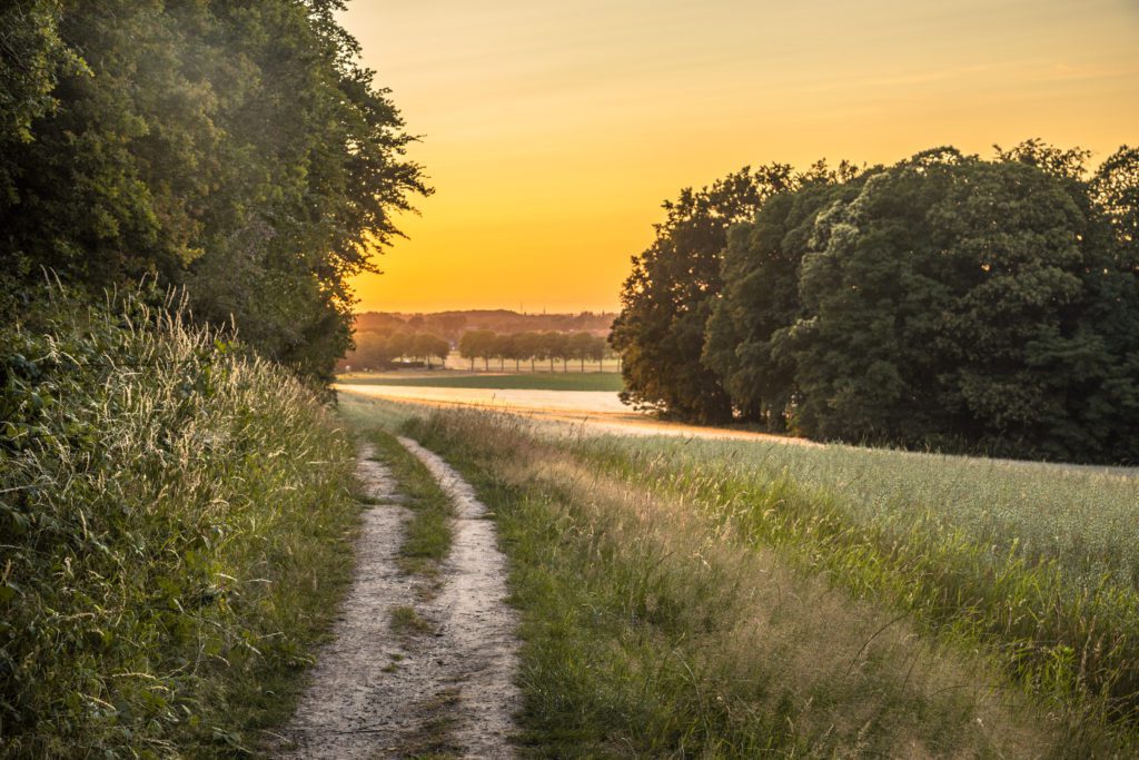 montferland tops