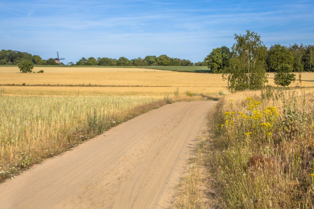 wandelroute montferlandse toppen