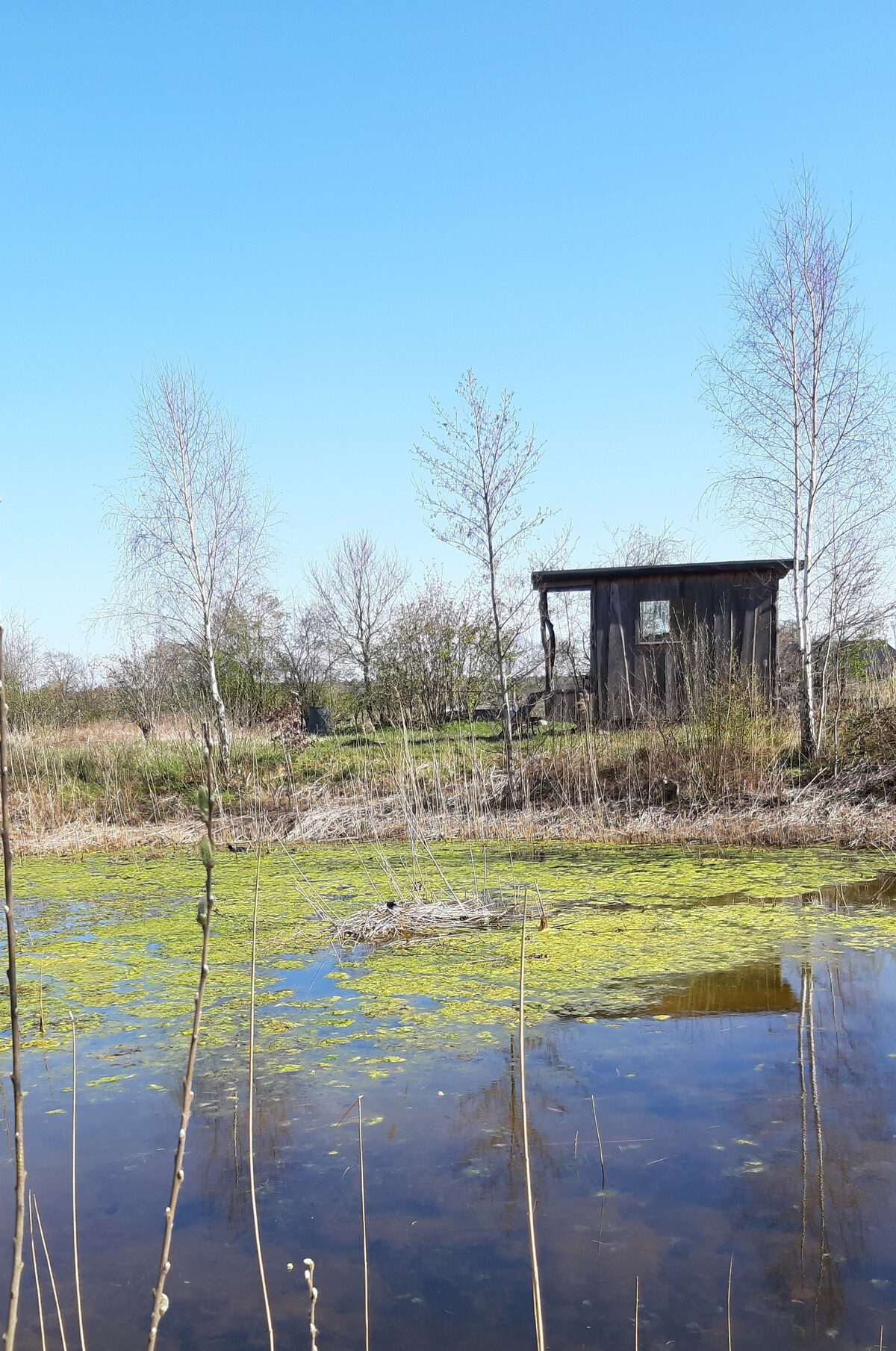 pluktuin overnachten in raalte