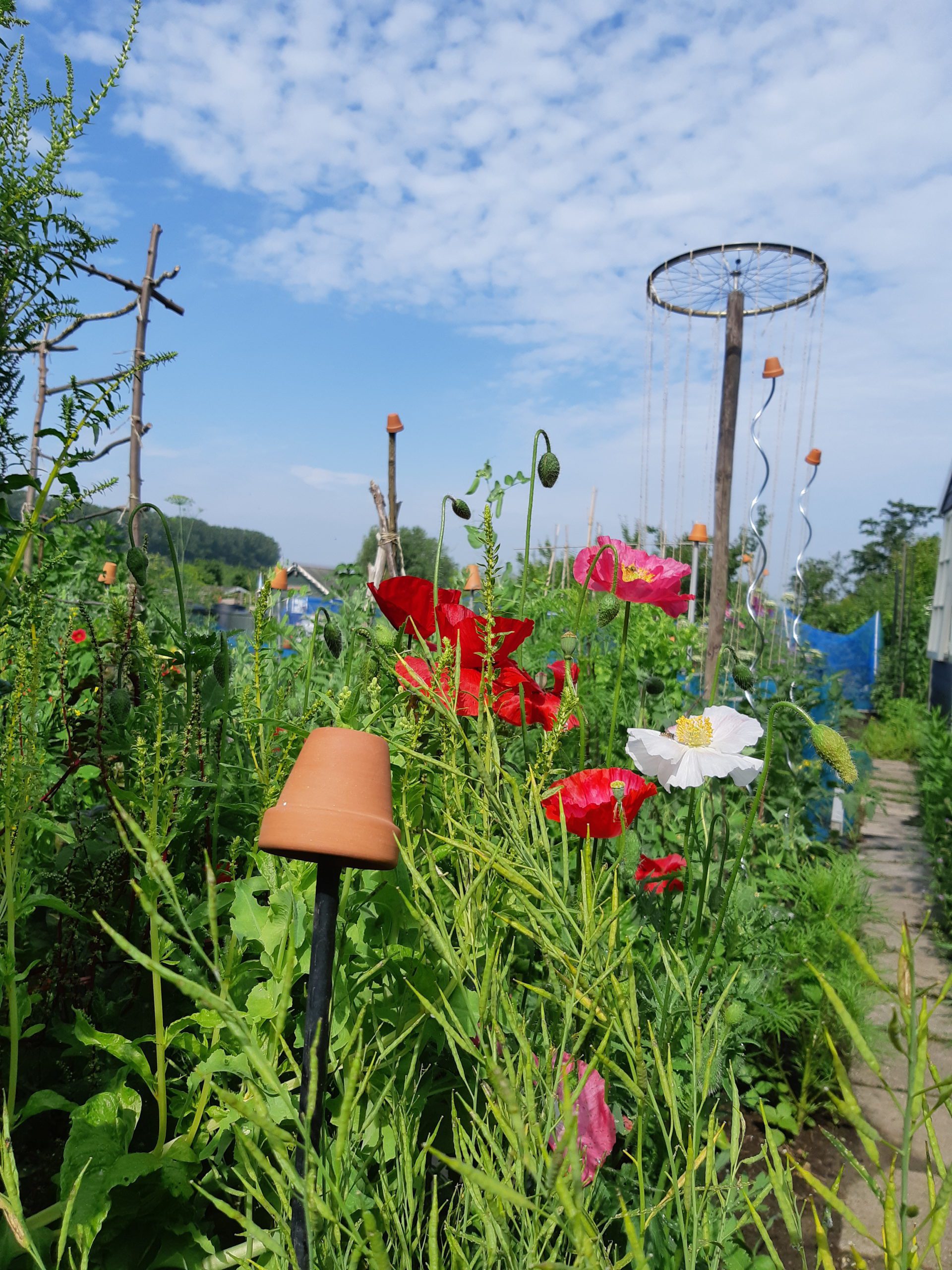 moestuin water geven vakantie