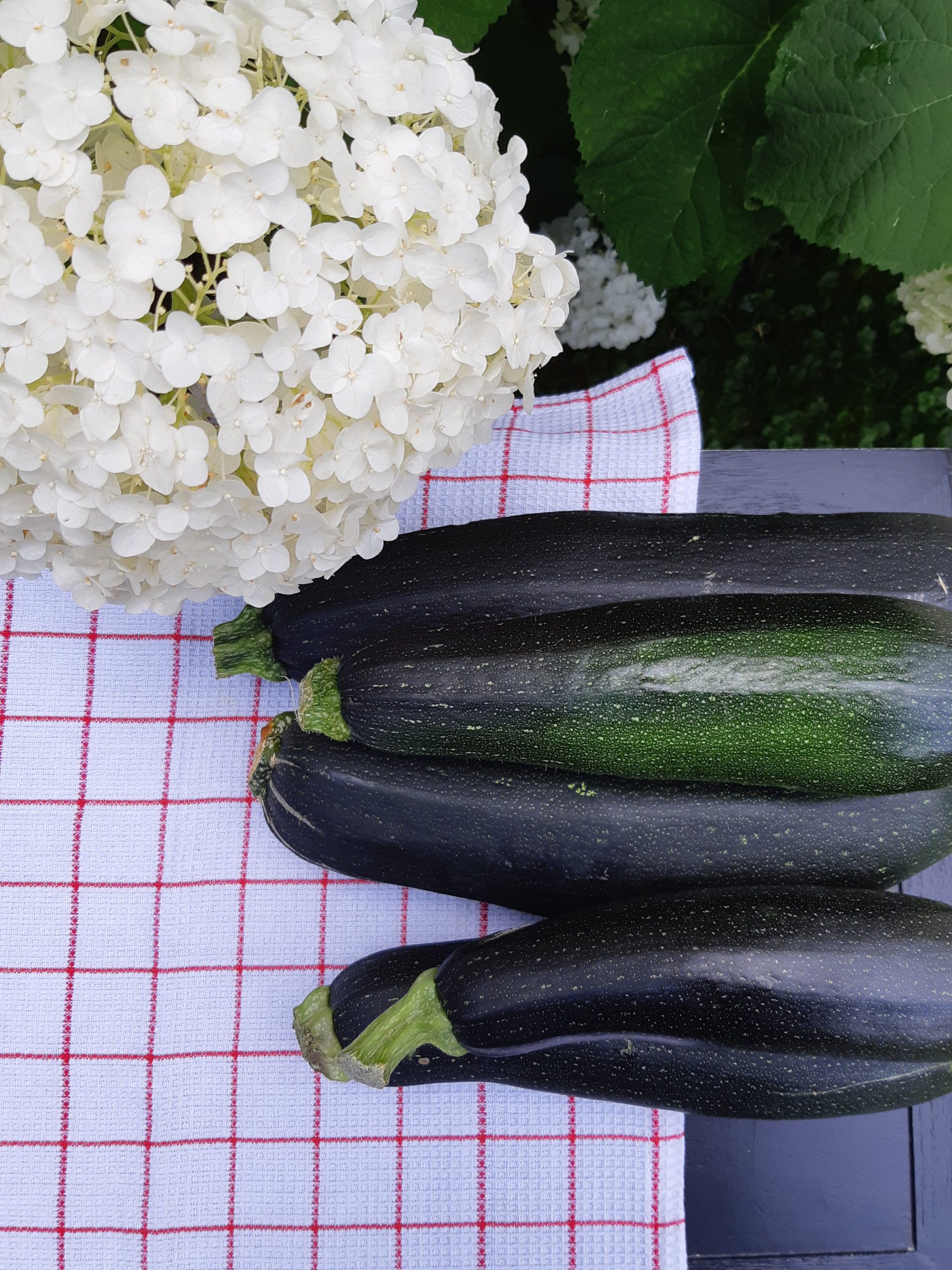 moestuin water geven vakantie