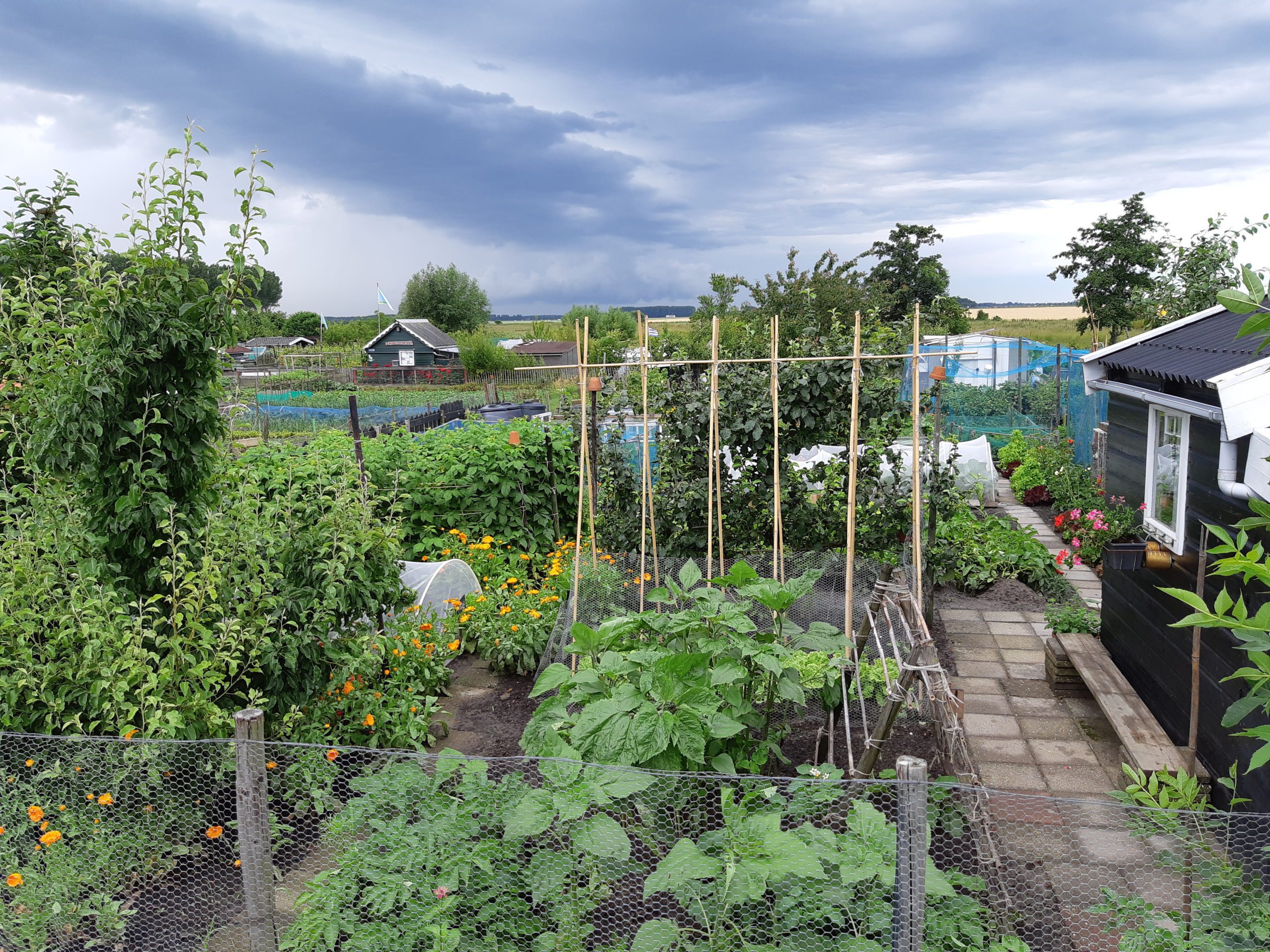 moestuin water geven vakantie