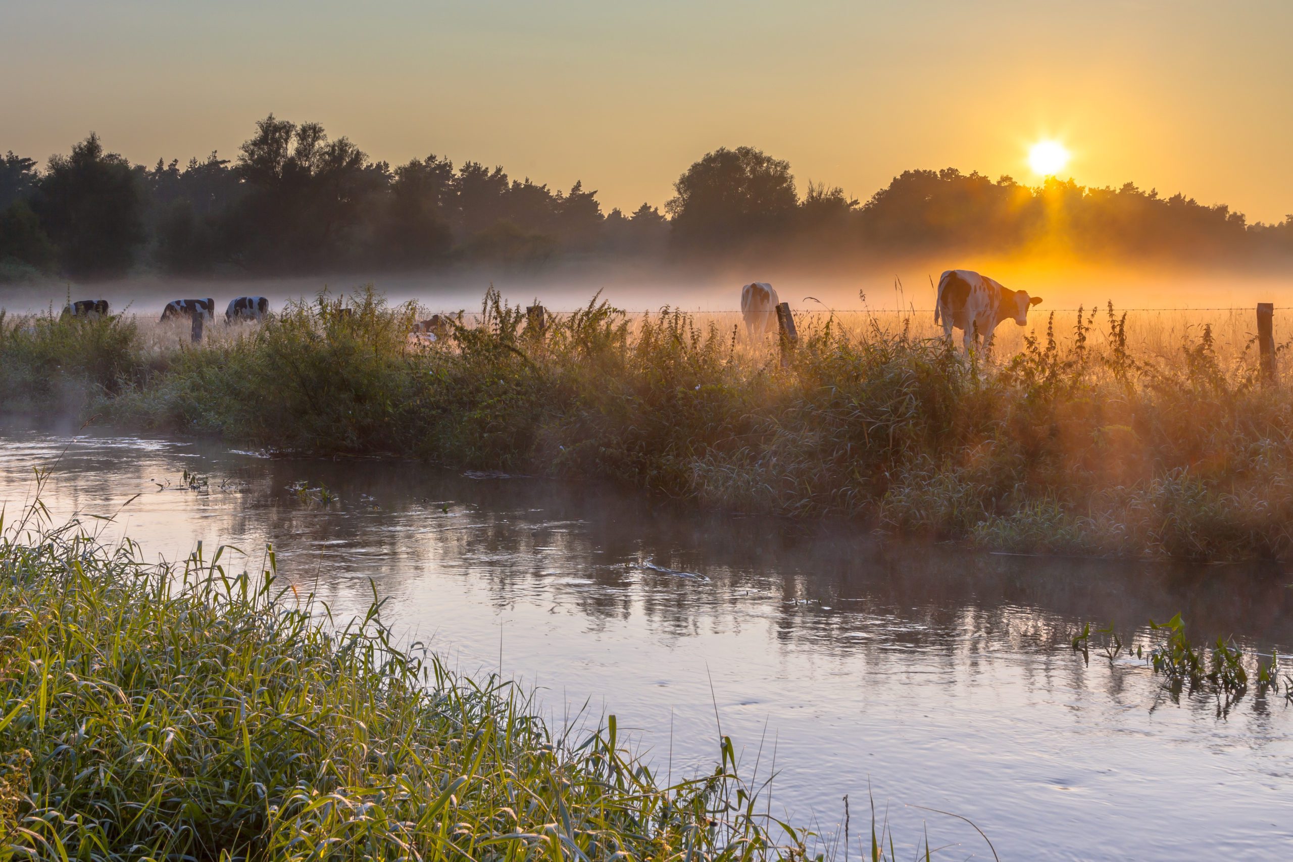 wandelroutes twente