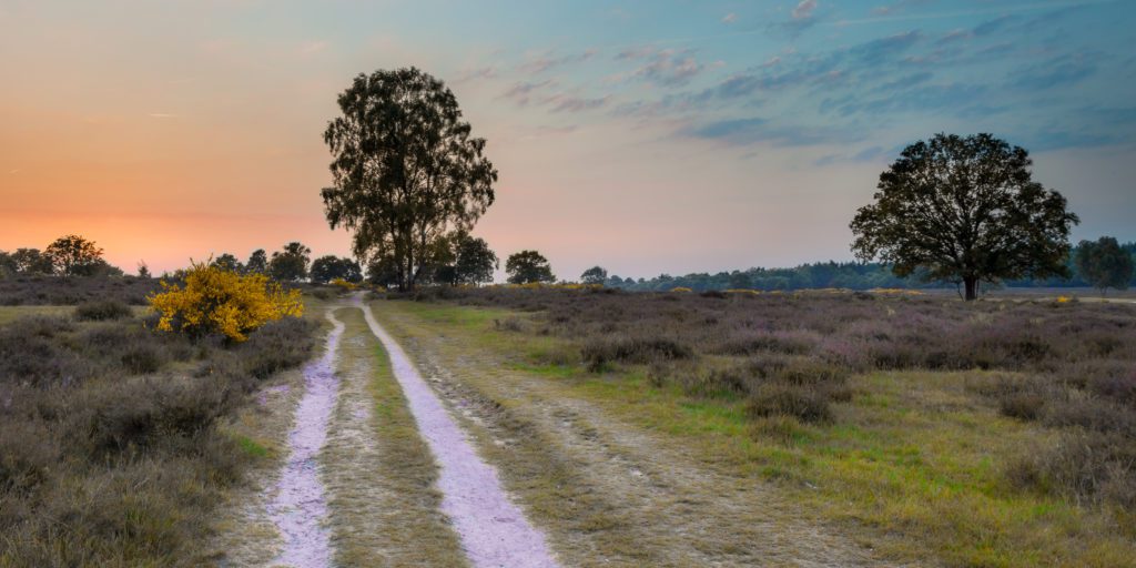 duurzaam reizen